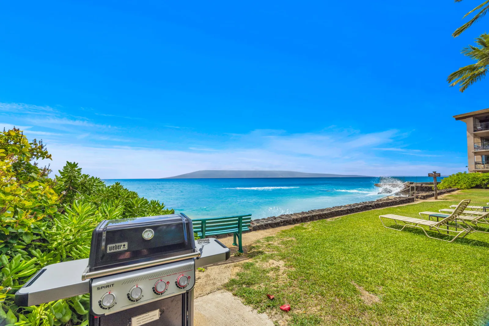 Gas grill on the oceanfront lawn