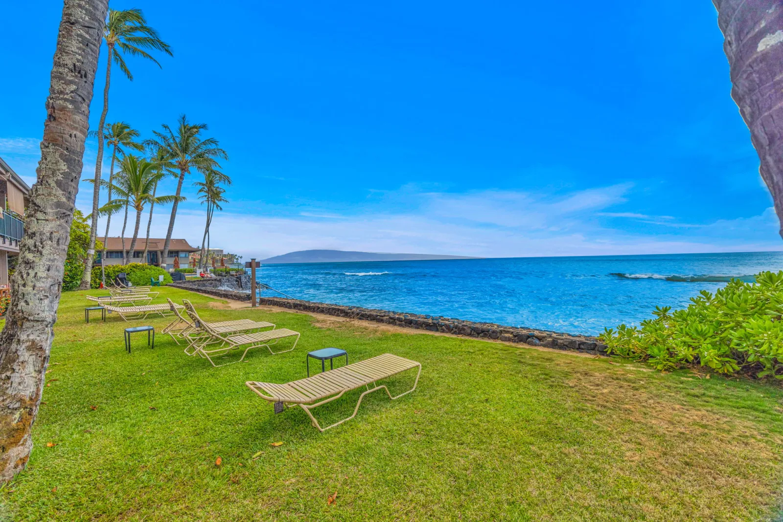 The oceanfront lawn at The Pikake, loungers facing the water