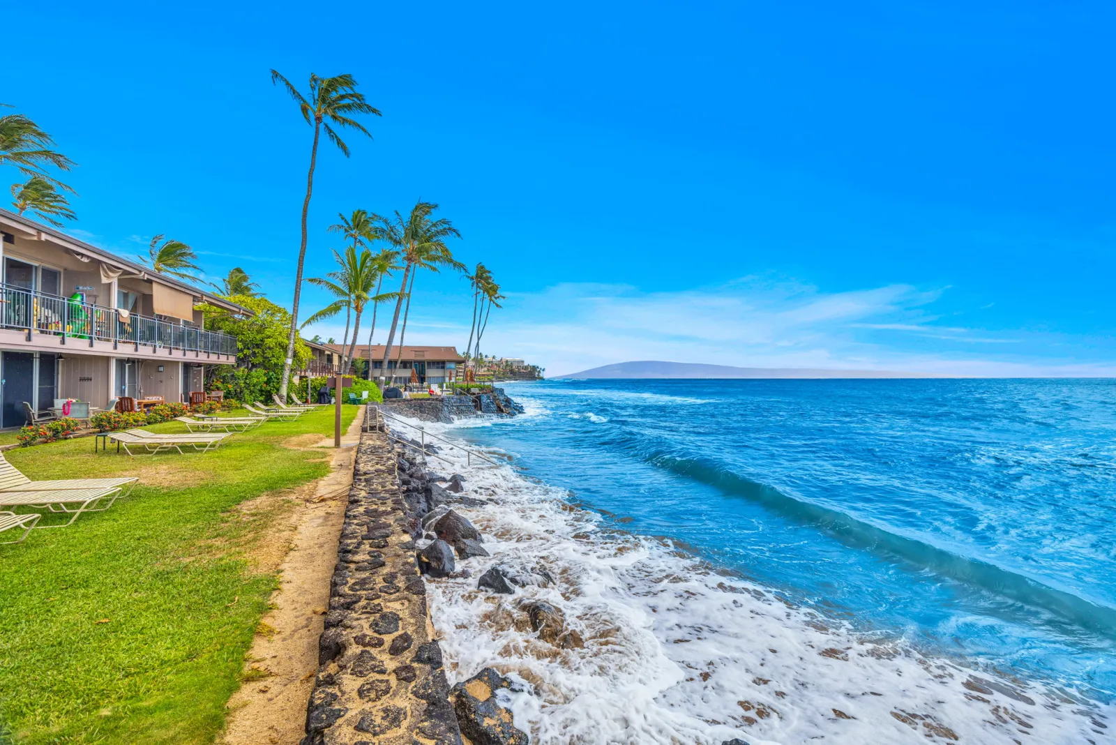 The Pikake seen from the shoreline, palms above the surf